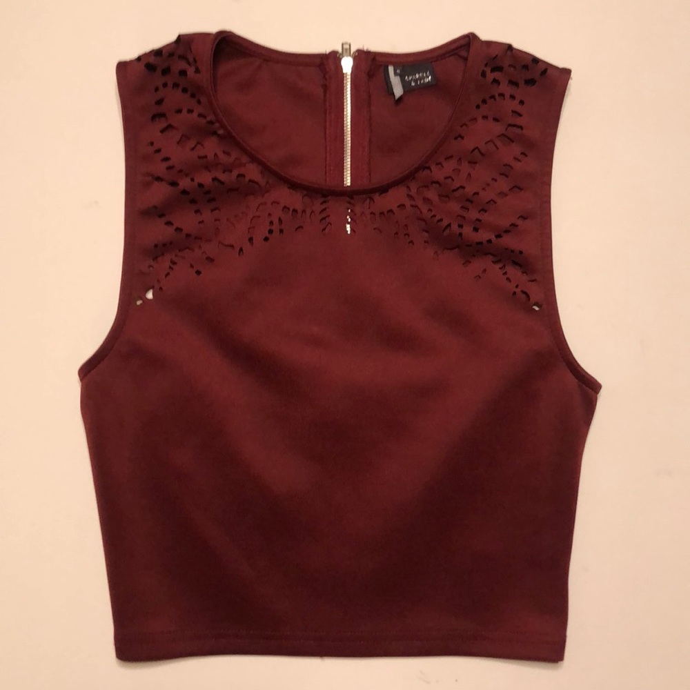 Urban Outfitters Maroon Crop Top